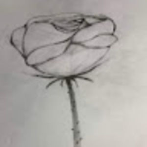 Meet your Posher, Tran